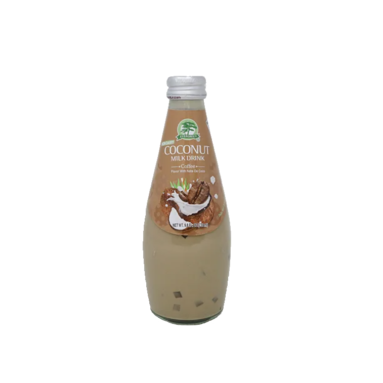 EVERGREEN Coconut Milk Drink Coffee Flavor 9.8oz